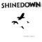 Shinedown - The Sound Of Madness