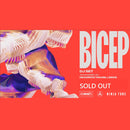 Bicep - Isles: Various Formats + Ticket Bundle (Album Launch gig at Headrow House)