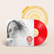 Melody's Echo Chamber - Emotional Eternal