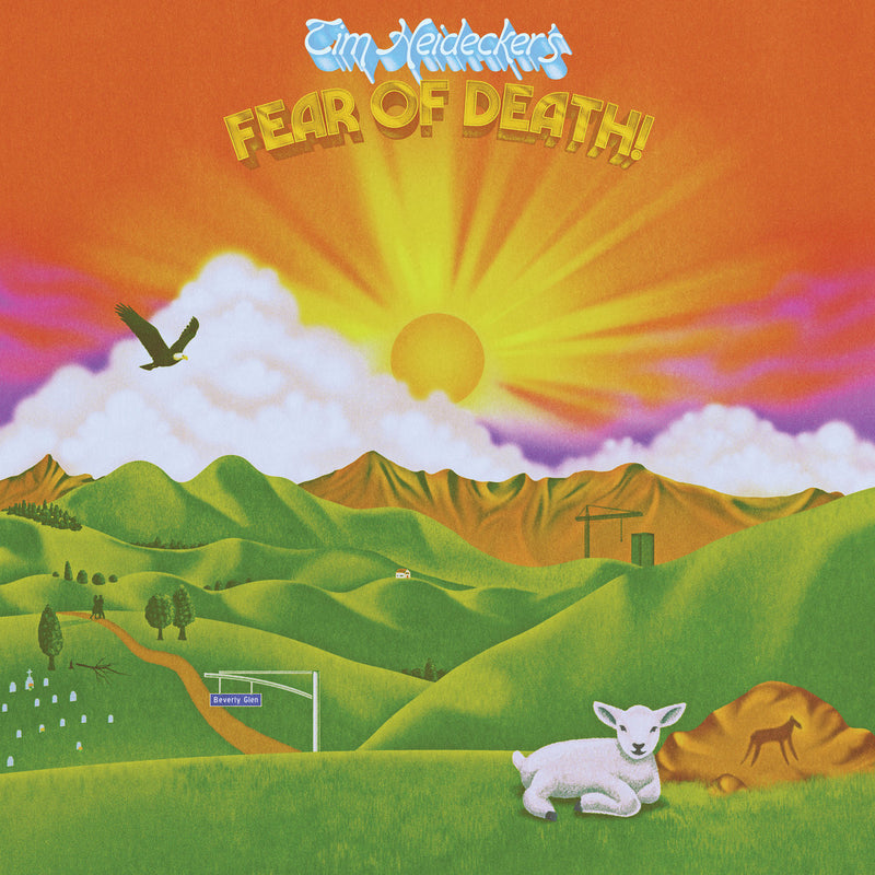 Tim Heidecker - Fear Of Death: Vinyl LP