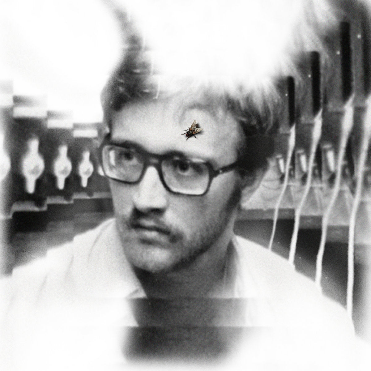 Damaged Bug - Bug On Yonkers : Various Formats