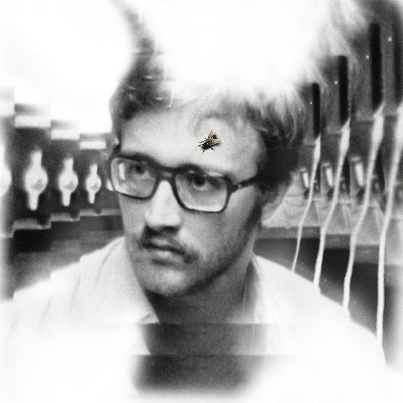 Damaged Bug - Bug On Yonkers : Various Formats