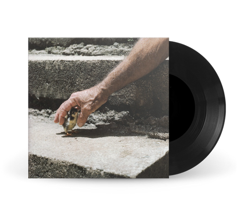 Big Thief - Mythological Beauty: 7" Single