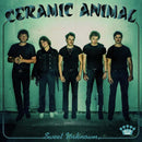 Ceramic Animal - Sweet Unknown