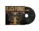 Black Pumas - Chronicles of a Diamond