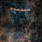 Eyelids - The Accidental Falls: Vinyl LP