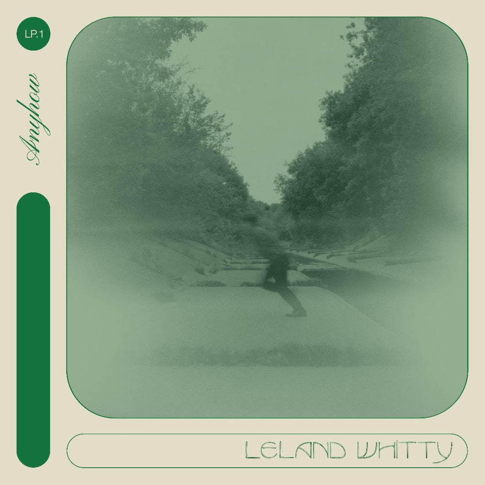 LELAND WHITTY 'ANYHOW' (INNOVATIVE LEISURE)