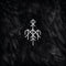 Wardruna - Kvitravn (White Raven)