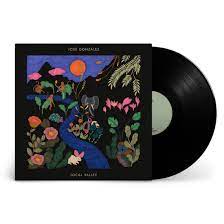 Jose Gonzalez - Local Valley