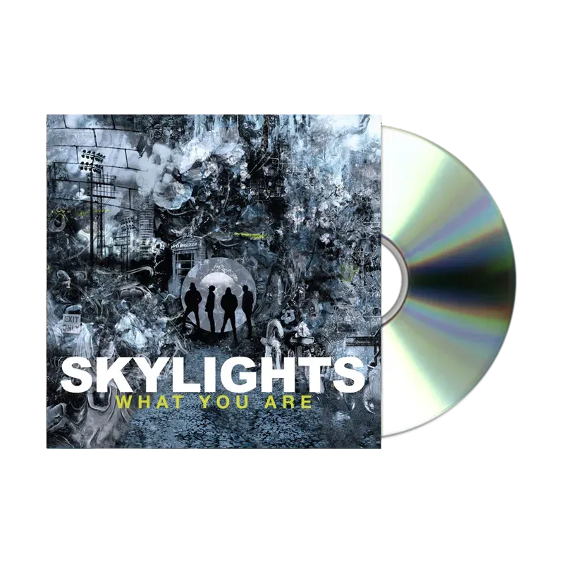 Skylights - What You Are