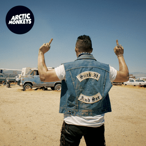 Arctic Monkeys - Suck It And See: 7" Single