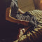 Tycho - Weather: Limited Clear Vinyl LP