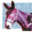 Protomartyr - Ultimate Success Today: Various Formats