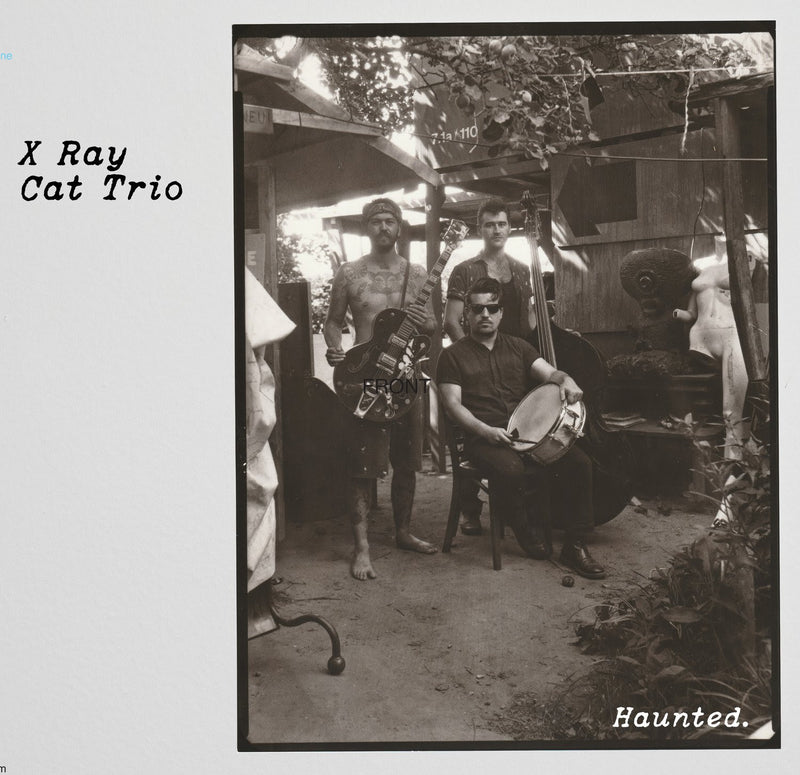 X Ray Cat Trio - Haunted