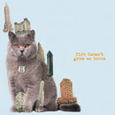 Brian Jonestown Massacre – Fire Doesn’t Grow On Trees