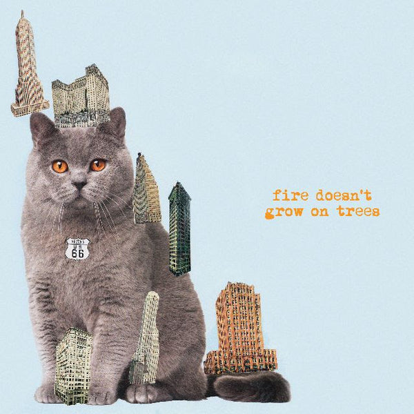 Brian Jonestown Massacre – Fire Doesn’t Grow On Trees