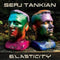 Serj Tankian - Elasticity EP