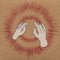 Godspeed You! Black Emperor! - Lift Your Skinny Fists Like Antennas To Heaven